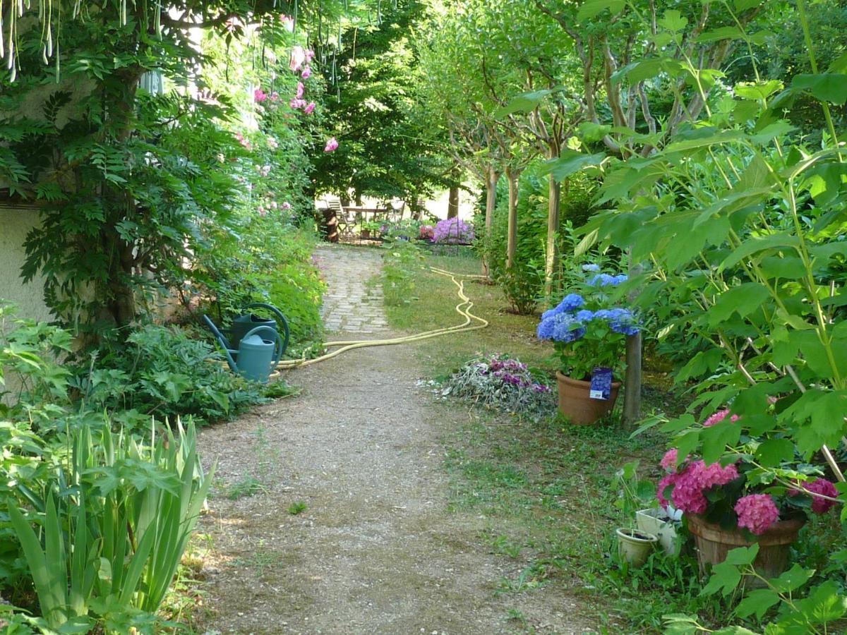 L'Oree Du Bois Luzech Luaran gambar